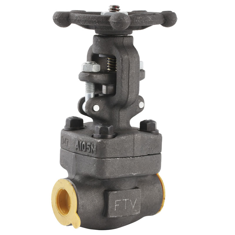 Forged Steel Flanged Globe Valve