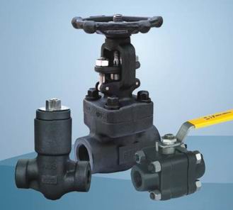 Forged Steel SW and NPT Swing Check Valve