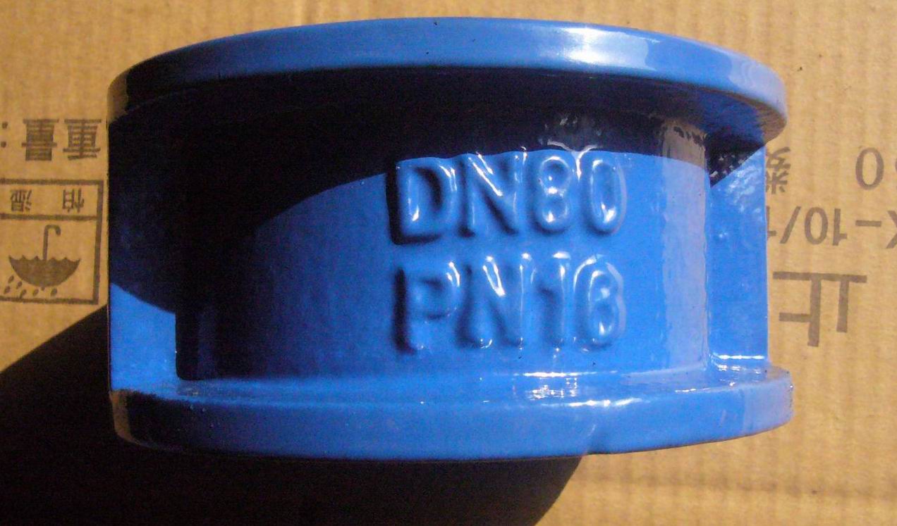 Cast Iron Wafer Check Valve